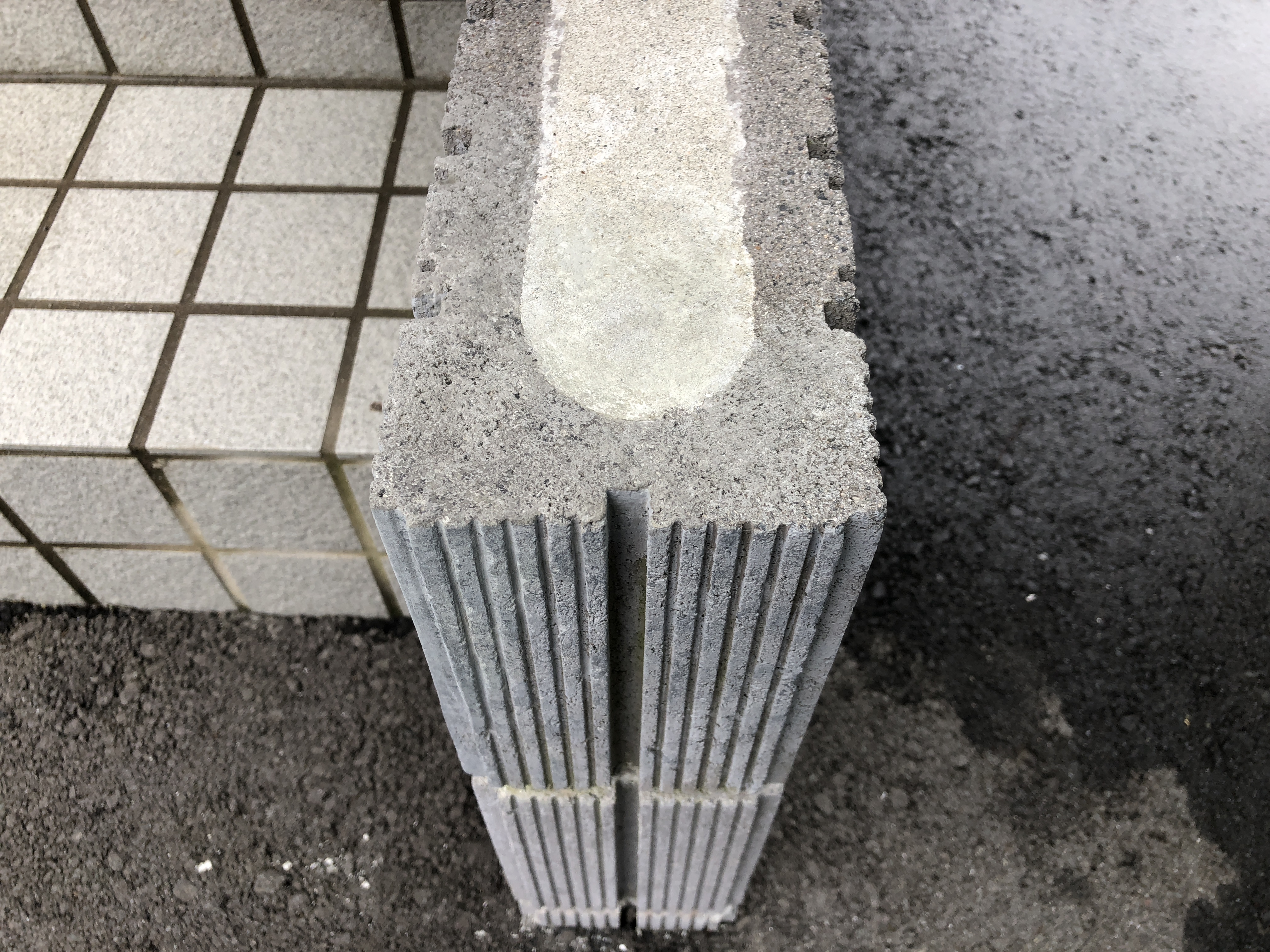 たは たは