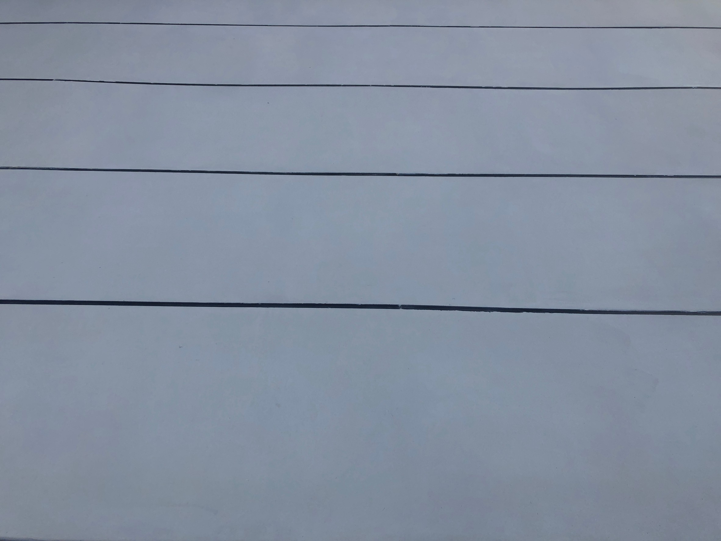 d d